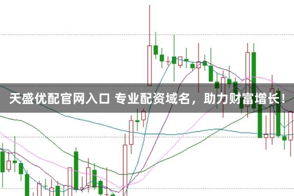 天盛优配官网入口 专业配资域名，助力财富增长！
