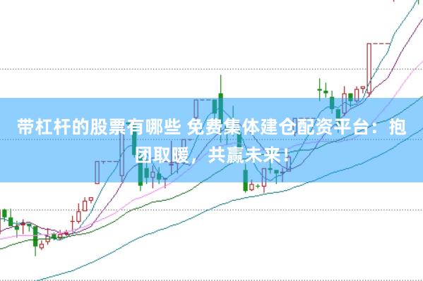 带杠杆的股票有哪些 免费集体建仓配资平台：抱团取暖，共赢未来！