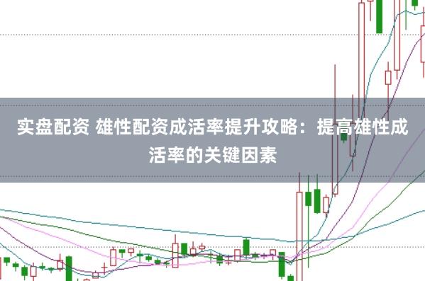 实盘配资 雄性配资成活率提升攻略：提高雄性成活率的关键因素