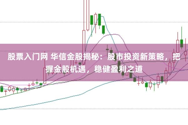 股票入门网 华信金股揭秘：股市投资新策略，把握金股机遇，稳健盈利之道
