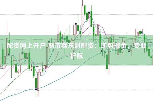 配资网上开户 熊市鑫东财配资：逆势掘金，专业护航