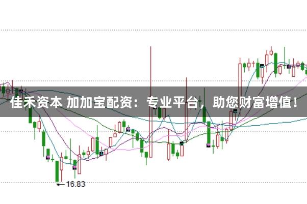 佳禾资本 加加宝配资：专业平台，助您财富增值！
