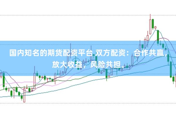 国内知名的期货配资平台 双方配资：合作共赢，放大收益，风险共担。