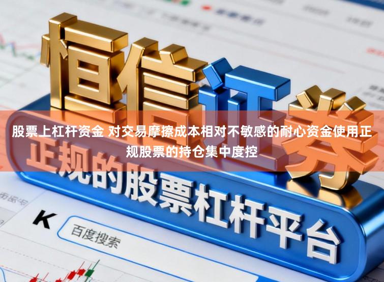 股票上杠杆资金 对交易摩擦成本相对不敏感的耐心资金使用正规股票的持仓集中度控