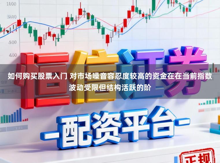 如何购买股票入门 对市场噪音容忍度较高的资金在在当前指数波动受限但结构活跃的阶