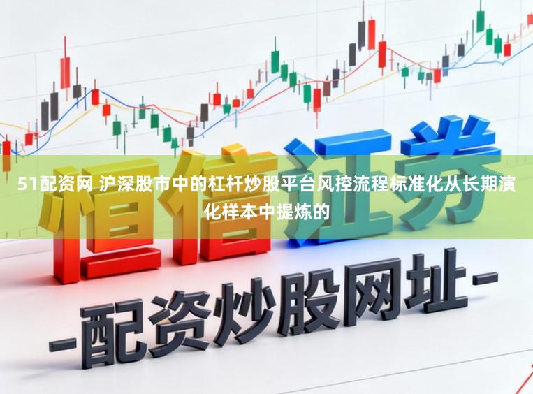 51配资网 沪深股市中的杠杆炒股平台风控流程标准化从长期演化样本中提炼的